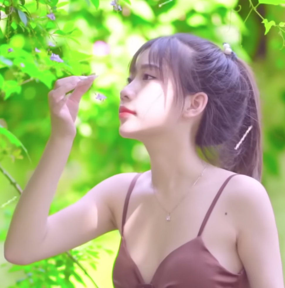 lĩnh vực hoạt động